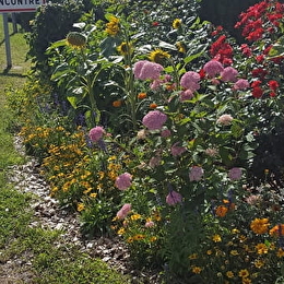 BONNENCONTRE - BONNENCONTRE