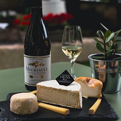 Initiation à la dégustation de vins et fromages 