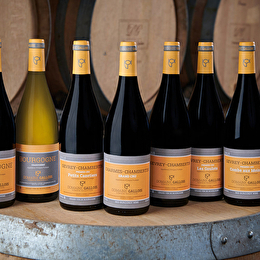 Gallois - GEVREY-CHAMBERTIN