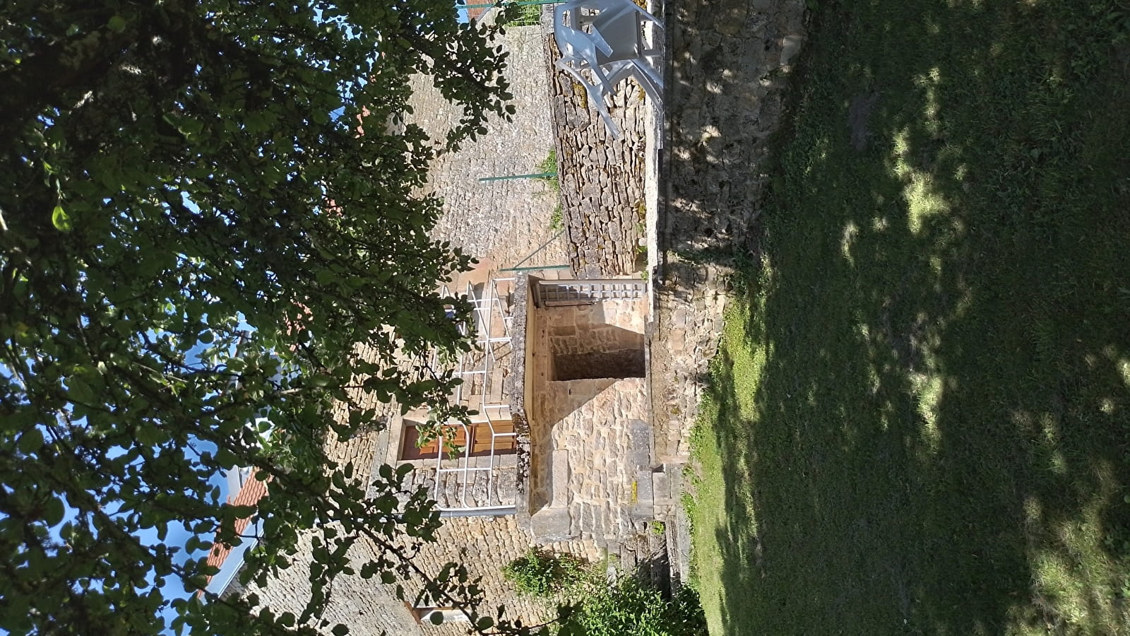 Les Marguerites