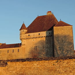 Château de Rosières - Chambres d'hôtes - SAINT-SEINE-SUR-VINGEANNE