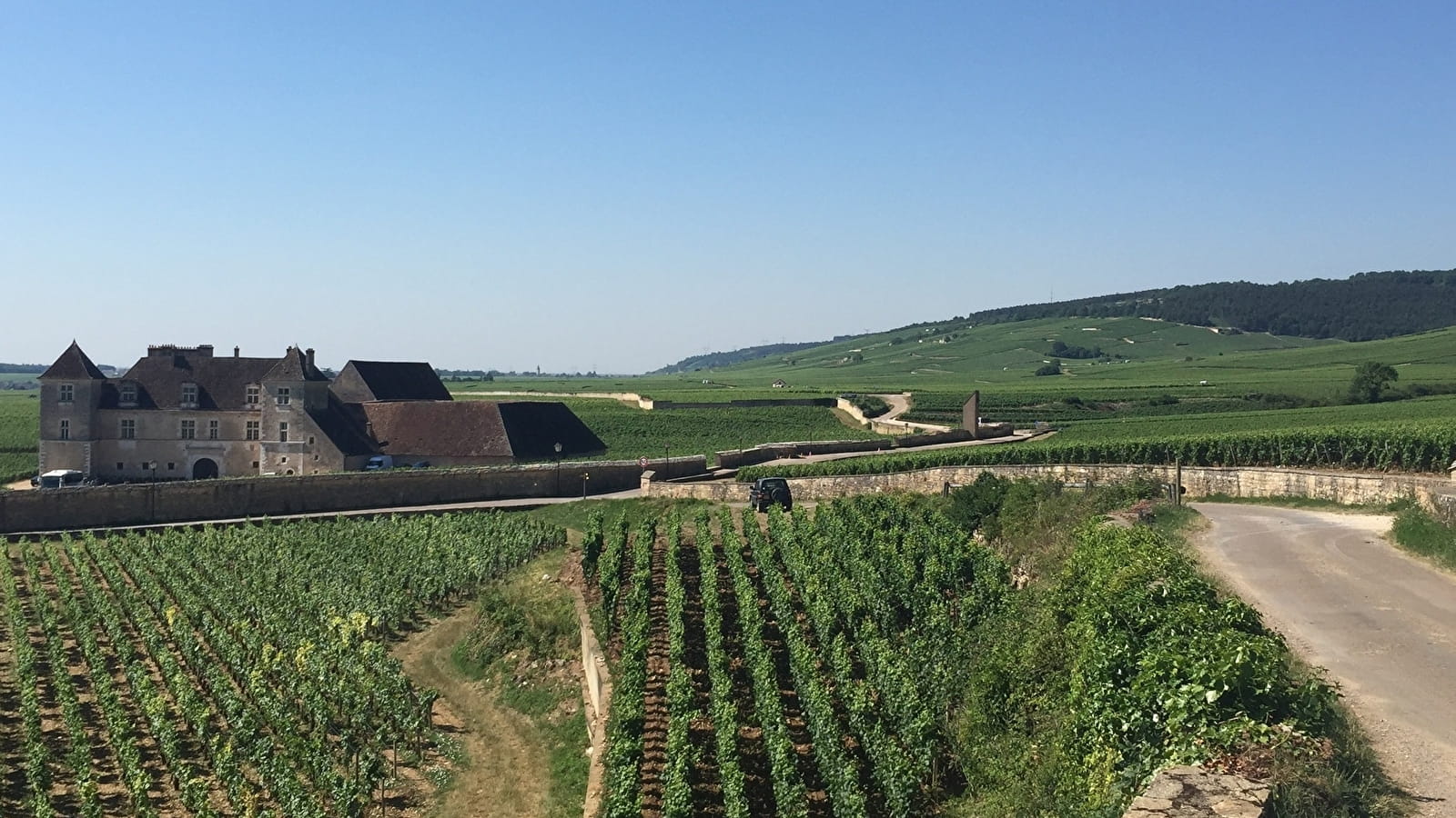 Oenotourisme sur La Route des Grands Crus