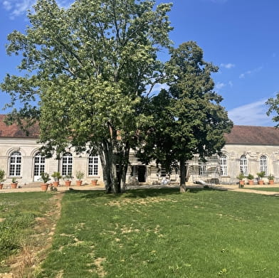 Abbaye de Molesme