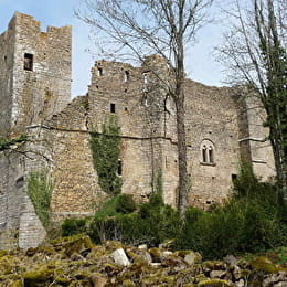 Château de Thil - VIC-SOUS-THIL