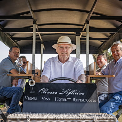 Olivier Leflaive - Wine Bike Experience 