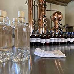 Ateliers récréatifs autour du gin - Distillerie du Clos Saint Joseph - MEURSAULT