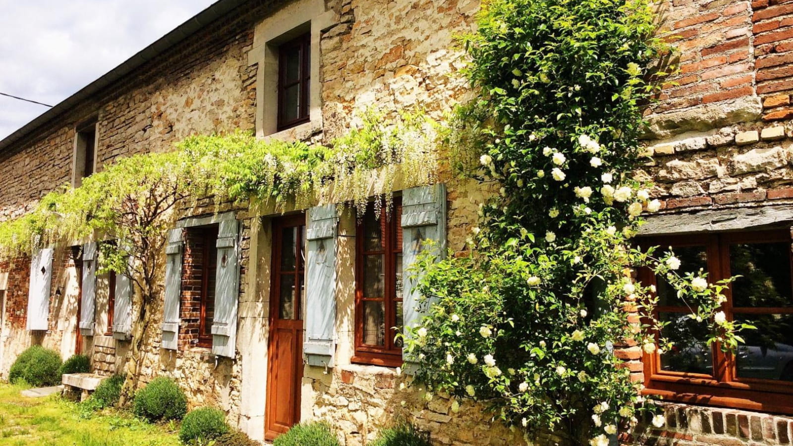 La petite ferme des plantes