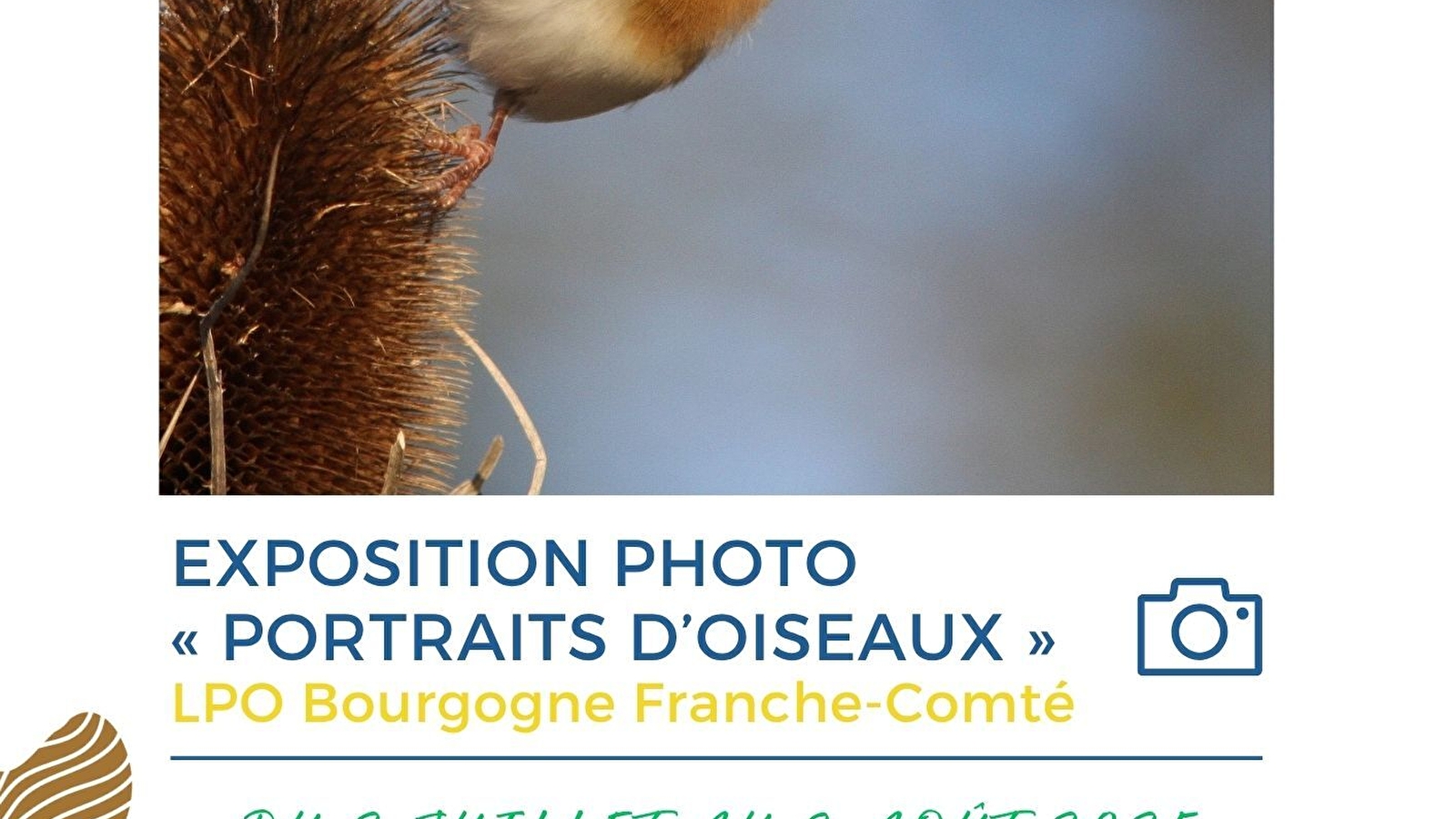 Exposition photo « Portraits d’Oiseaux » de la LPO Bourgogne Franche-Comté