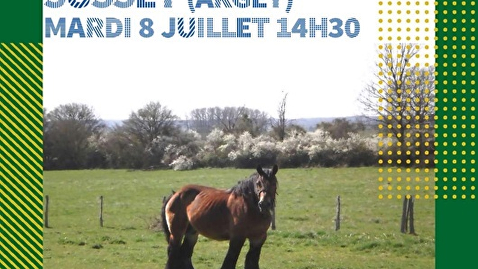 Visite guidée avec le Pays d'Art et d'Histoire Auxois Morvan