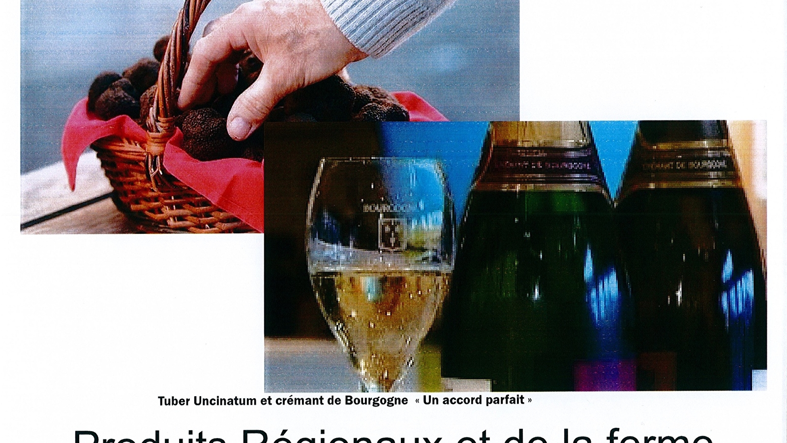 Marché à la truffe au Crémant de Bourgogne