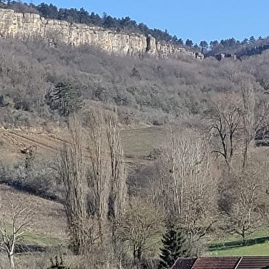 Dégustation et Patrimoine du Domaine de la Cozanne
