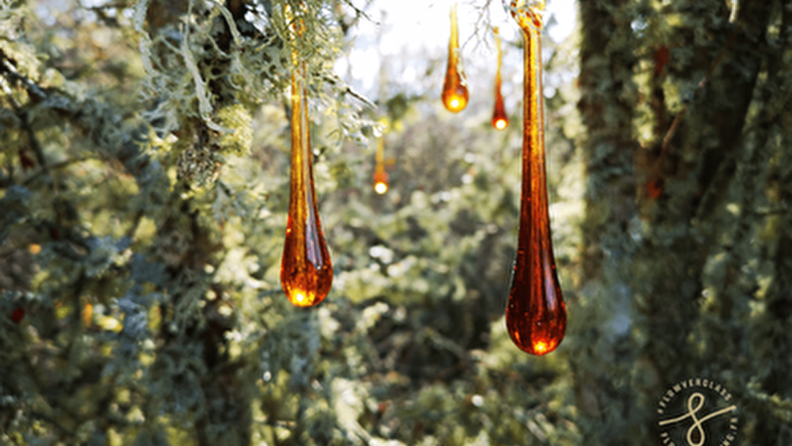 Exposition de fin d'année à l'atelier de verre soufflé Flowverglass