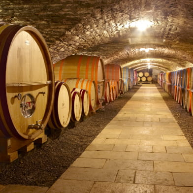 Château de Chassagne-Montrachet