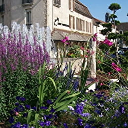 NUITS-SAINT-GEORGES - NUITS-SAINT-GEORGES