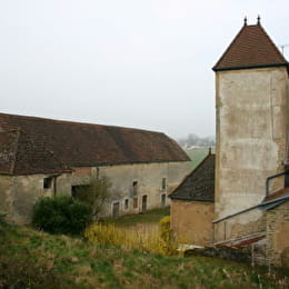 Ferme en agriculture biologique de Florence Voisot - EPAGNY