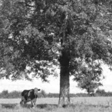 Ferme du Colombier - Nathalie et Benoît Nauwynck