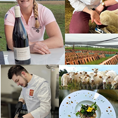 La Brasserie des Halles