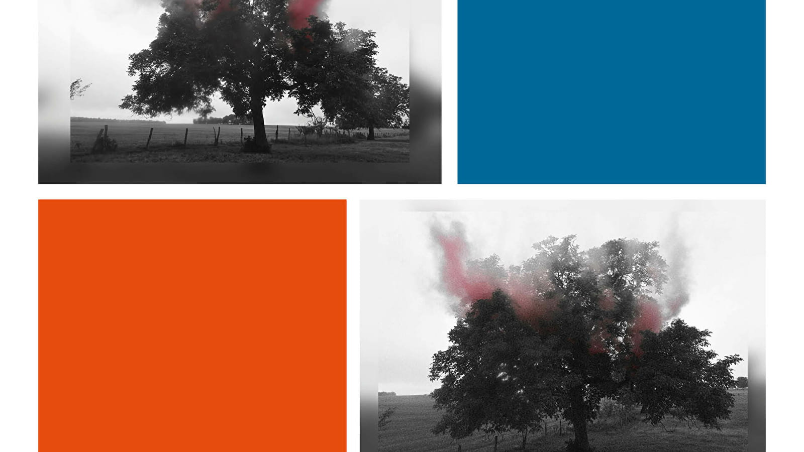 Exposition de photographies : Adélaïde Mairot