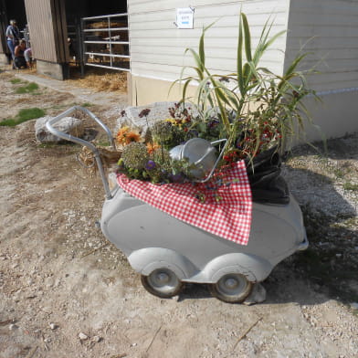 Ferme pédagogique du GAEC des 3 provinces