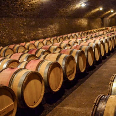 Château Vélo Vino en Côte de Nuits