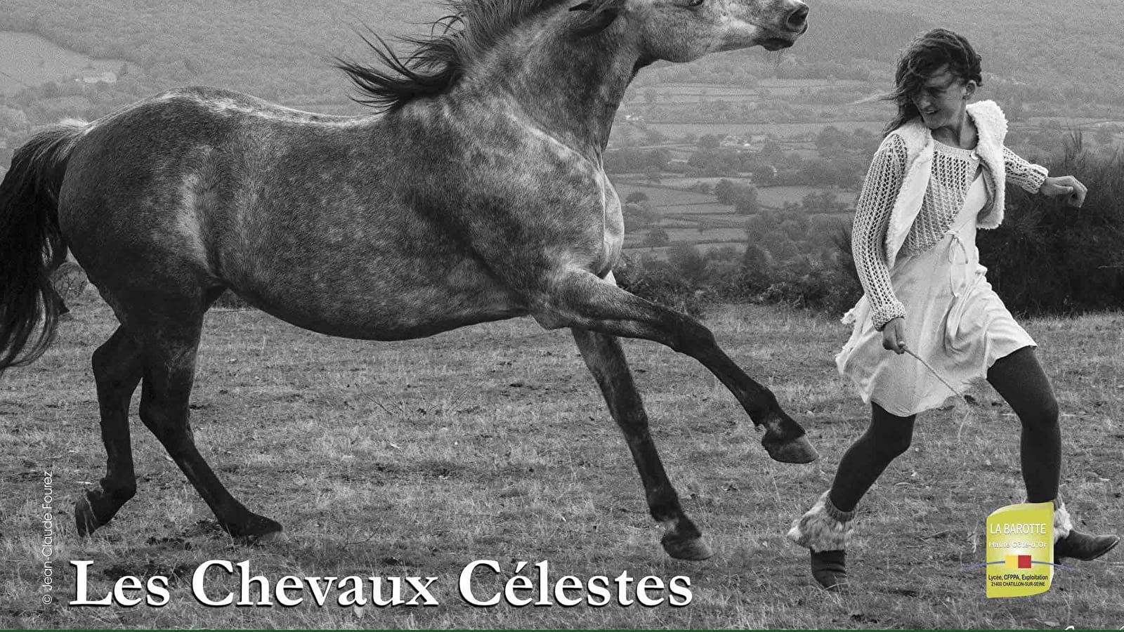 Elzear - Les Chevaux Célestes