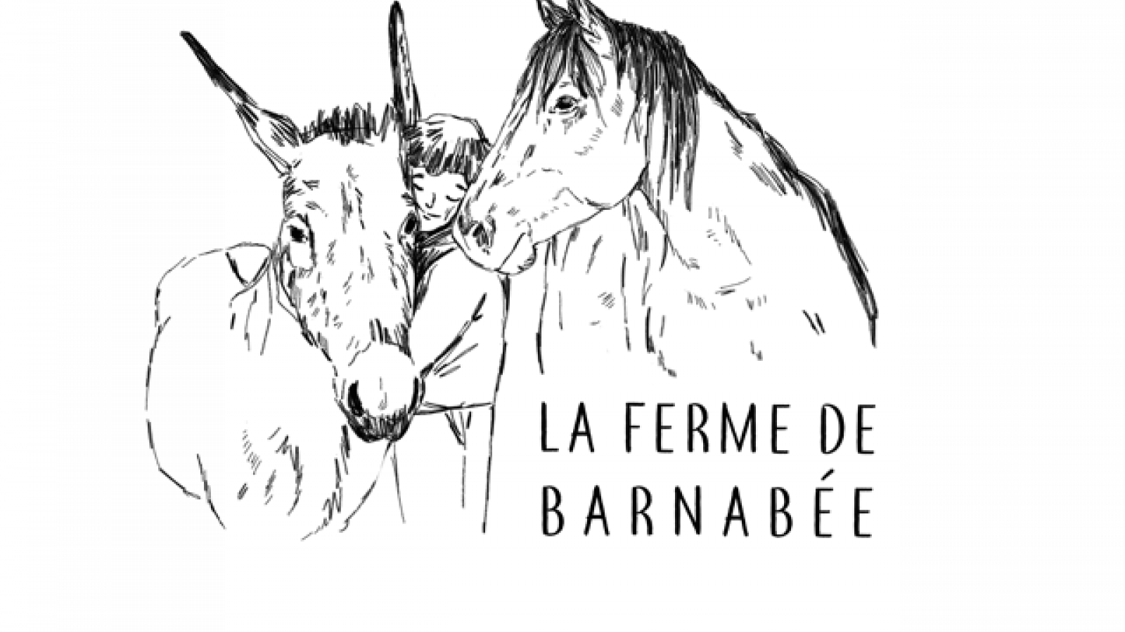 La ferme de Barnabée, médiation équine