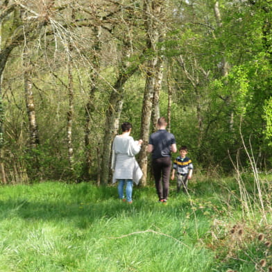 Jeu de Piste Familial - Les énigmes du Bois de Rosières