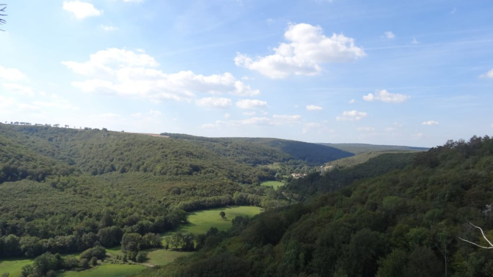 Forêt du Val Suzon