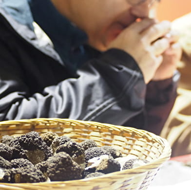 Fête de la Truffe et des Papilles (18ème édition)