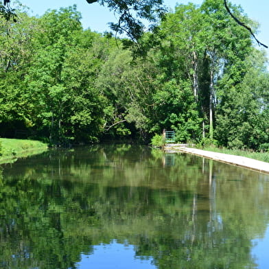 Pêche dans la Tille et l'Ignon