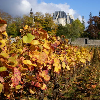 Le Clos des Mazières - Laurent Georges