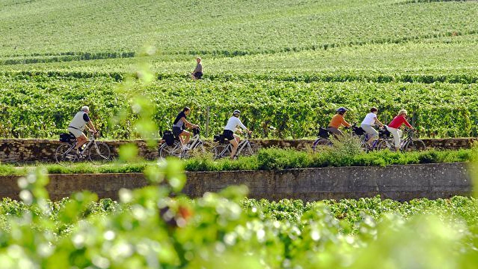 Escapade en Bourgogne à vélo