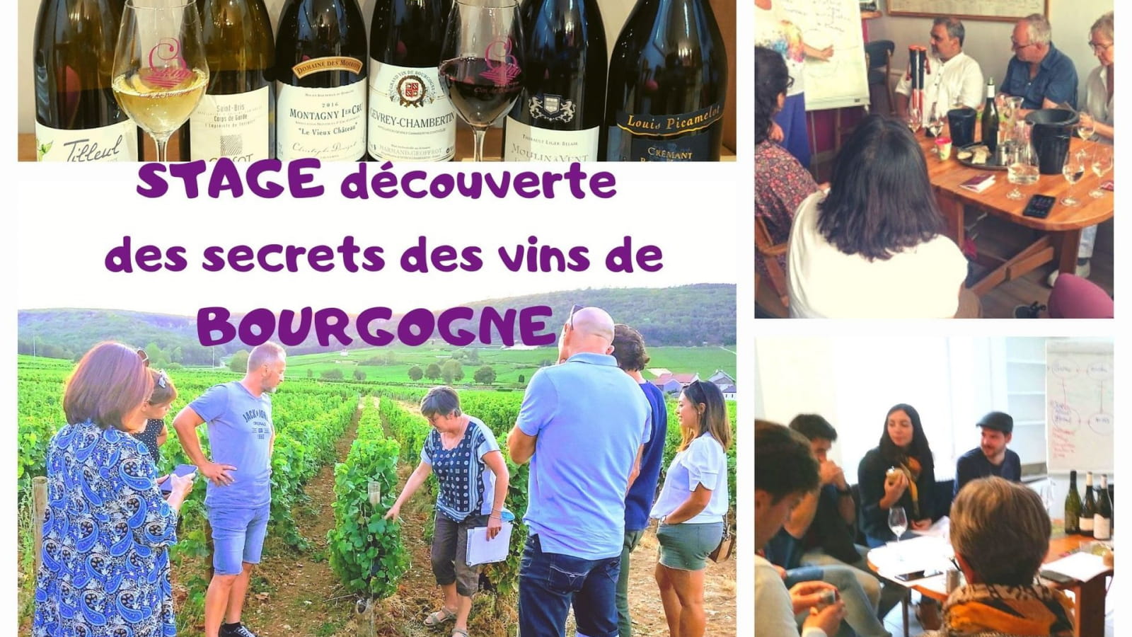 Stage oeno-sensoriel'découverte des secrets des vins de Bourgogne'