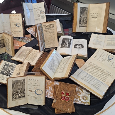 Exposition 'Les égarements de l'amour'