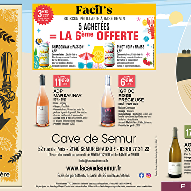Cave de Semur