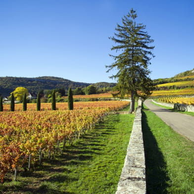 Château de la Crée