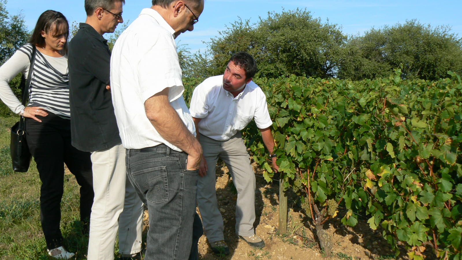 L'Atelier de la Vigne et du Vin