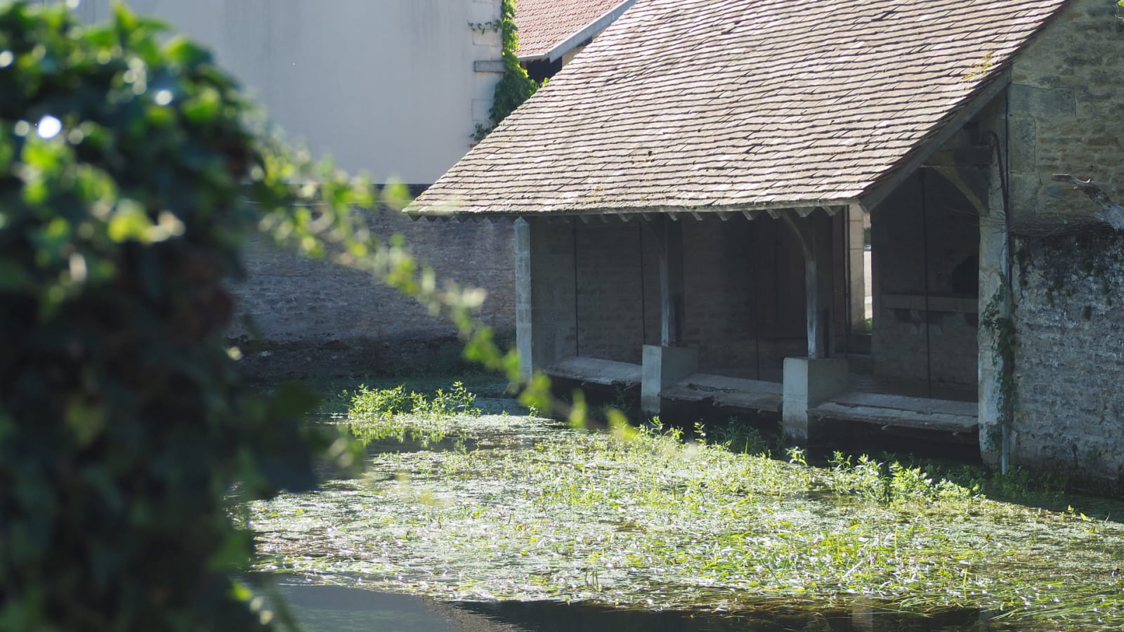 Lavoir à plancher mobile