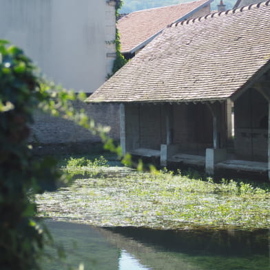 Lavoir à plancher mobile