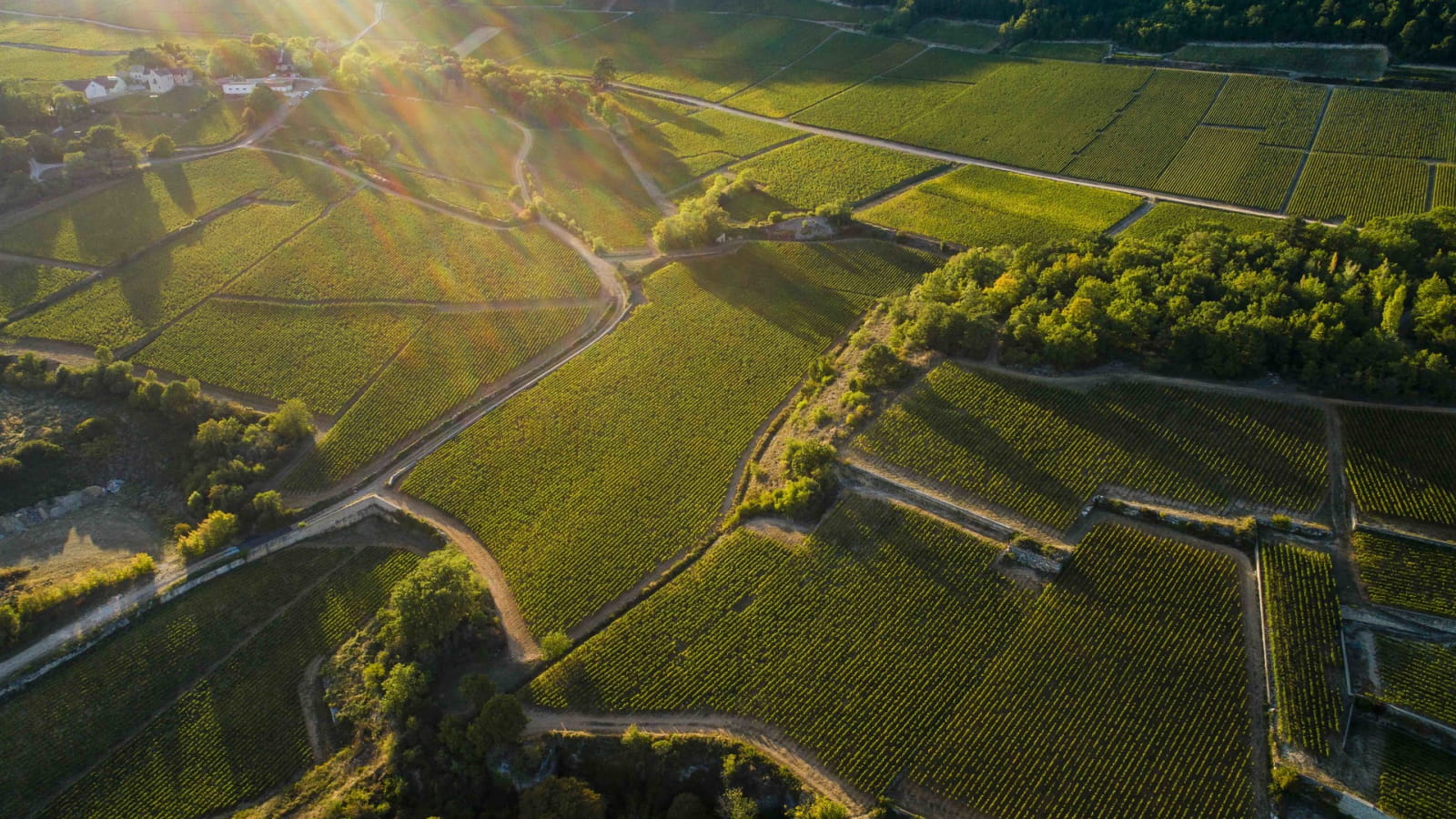 Séjour entre Côte de Beaune et Côte de Nuits