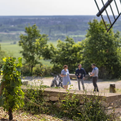 EXPÉRIENCE EN SELLE POUR LES TERROIRS DE SANTENAY & PIQUE-NIQUE - CHÂTEAU DE LA CRÉE