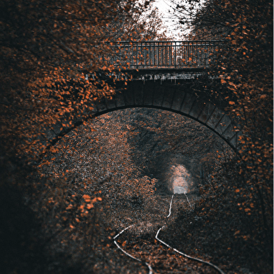 Exposition de photographies : Cotedorpix
