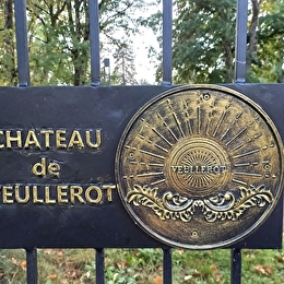 Chateau de Veullerot - LIERNAIS