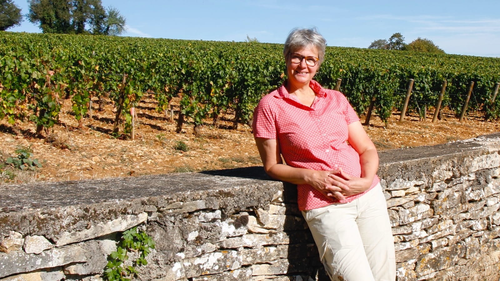 Visite guidée de Meursault