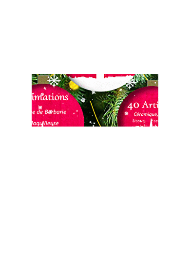 Festi'Noël - Marché de Noël à Beaune - BEAUNE