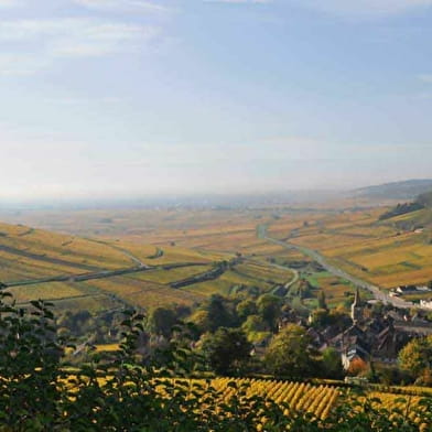 Escapades dans le vignoble - Circuit Charme - 1/2 journée