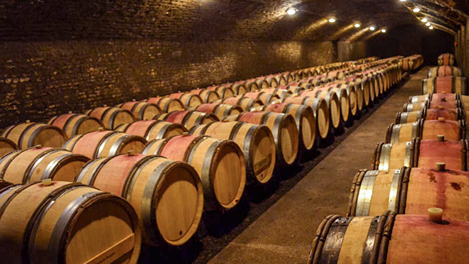 Demi journée vélo et vin en Cote de Nuits