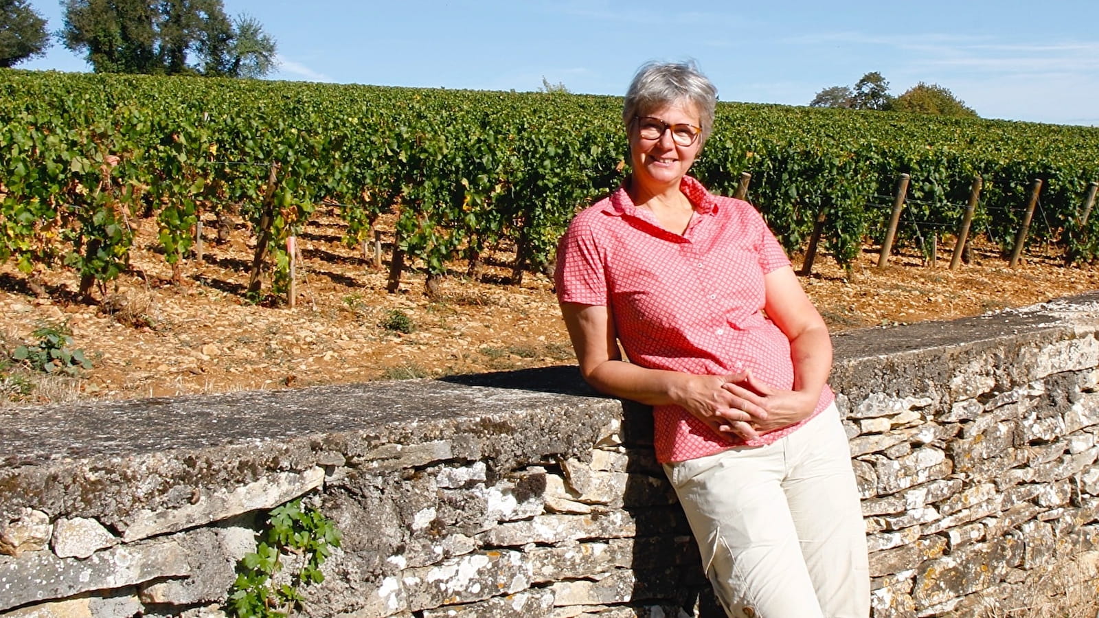 BALADE EN CHARDONNAY - VISITE GUIDÉE DE MEURSAULT