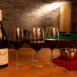 Initiation à la dégustation dans le cellier des Sarments - SANTENAY