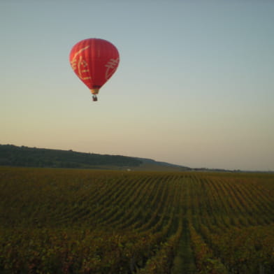 Les Montgolfières Nuitonnes - Les ballons de Nuits